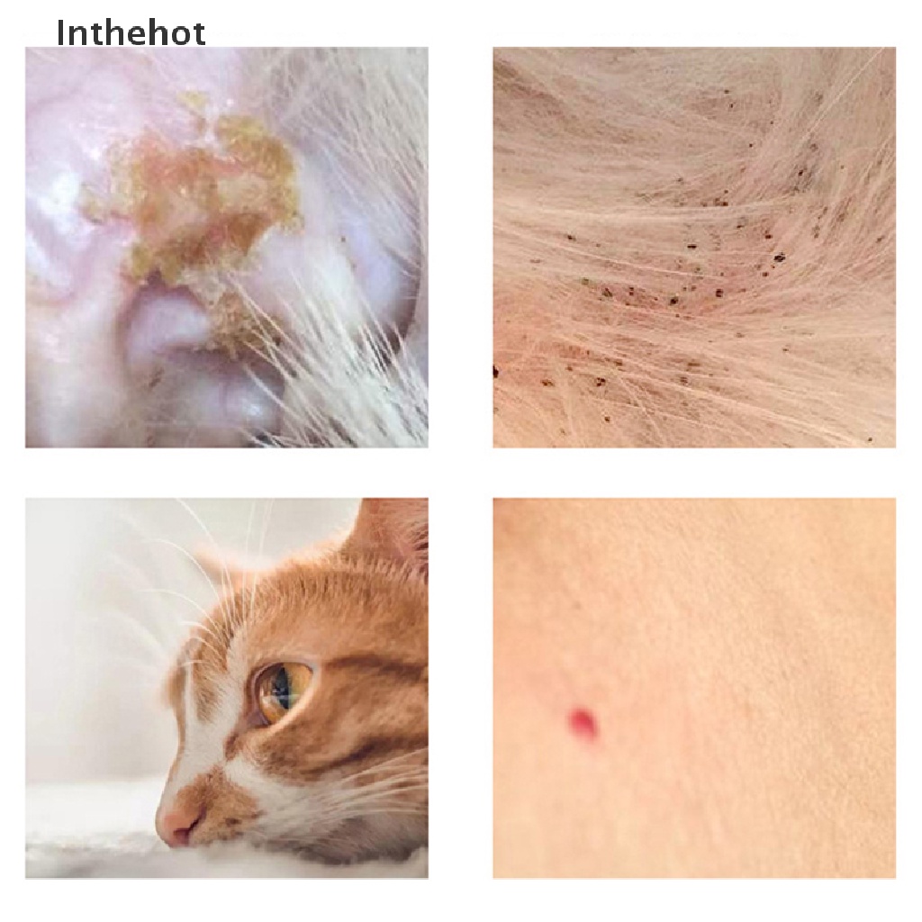 Vòng Cổ Chống Bọ Chét Chất Lượng Cao