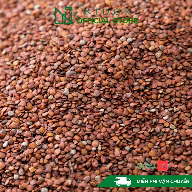 100GR Ngũ hoa hạt nguyên chất Organic (hạt ngũ hoa, hạt đình lịch) - Handmade