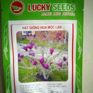 Hạt giống hoa mộc lan