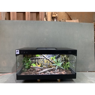 Chuồng Bò Sát Sơn Đen Setup 1mx50x50
