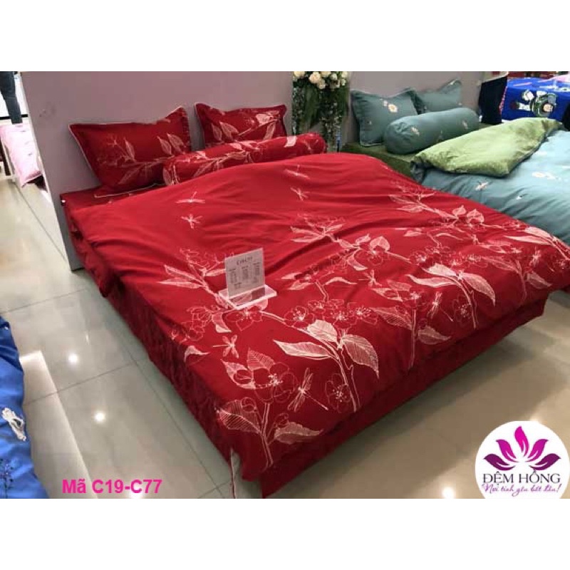 Bộ ga chun Sông Hồng chính hãng 100% cotton m6 x 2m