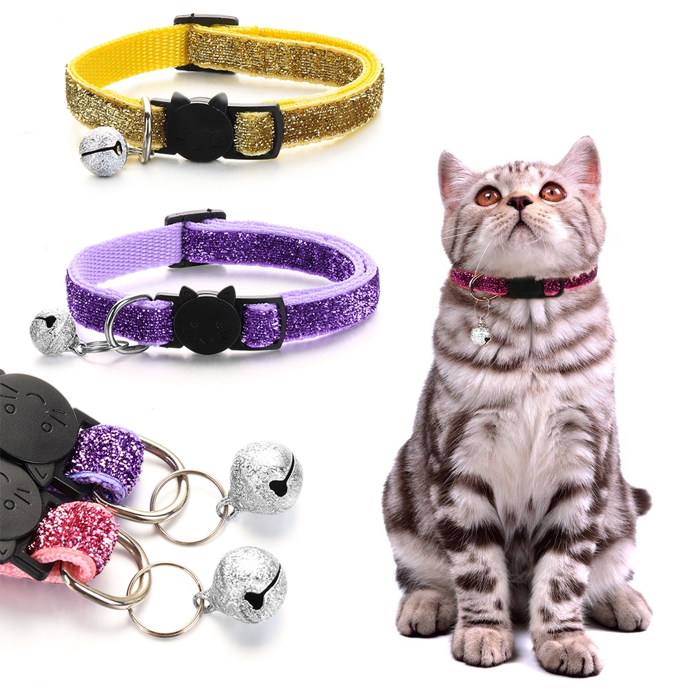 Phụ kiện vòng cổ cho thú cưng