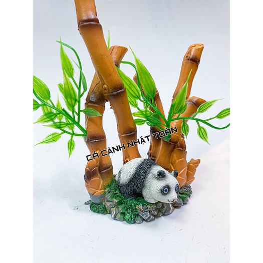 BỤI TRÚC TỂU CẢNH TRANG TRÍ HỒ CÁ NON BỘ CAO 15CM