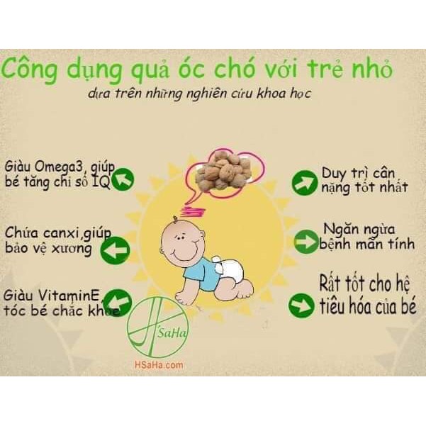 Nhân óc chó Mỹ vàng ( 400g)