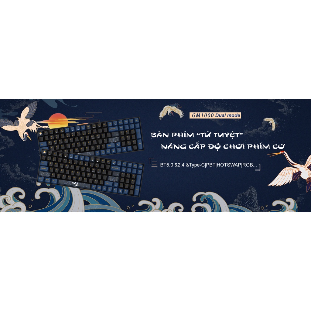 BÀN PHÍM CƠ NEWMEN GM1000 DUAL MODE