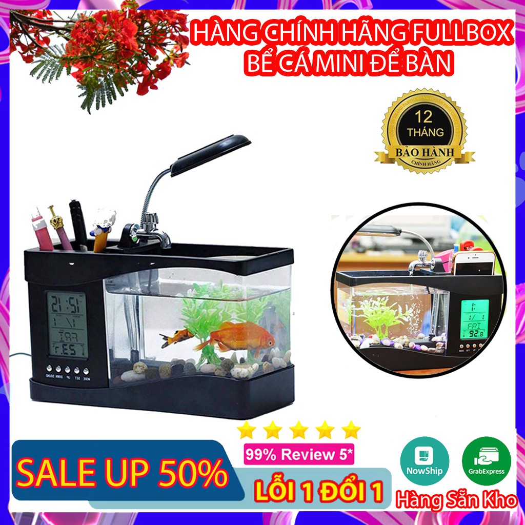 Hồ Cá Cảnh Bể Cá Mini Để Bàn Kiêm Đồng Hồ Siêu Đẹp (Tặng Kèm Đá Và Cây Cảnh)SIÊU SALE