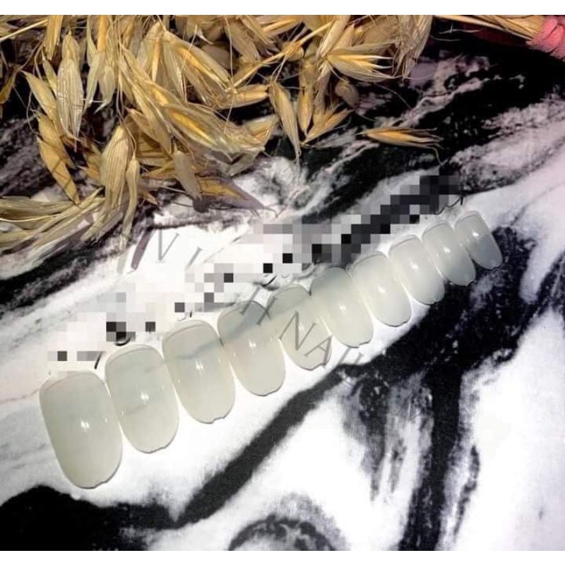 móng úp phom tròn Hàn