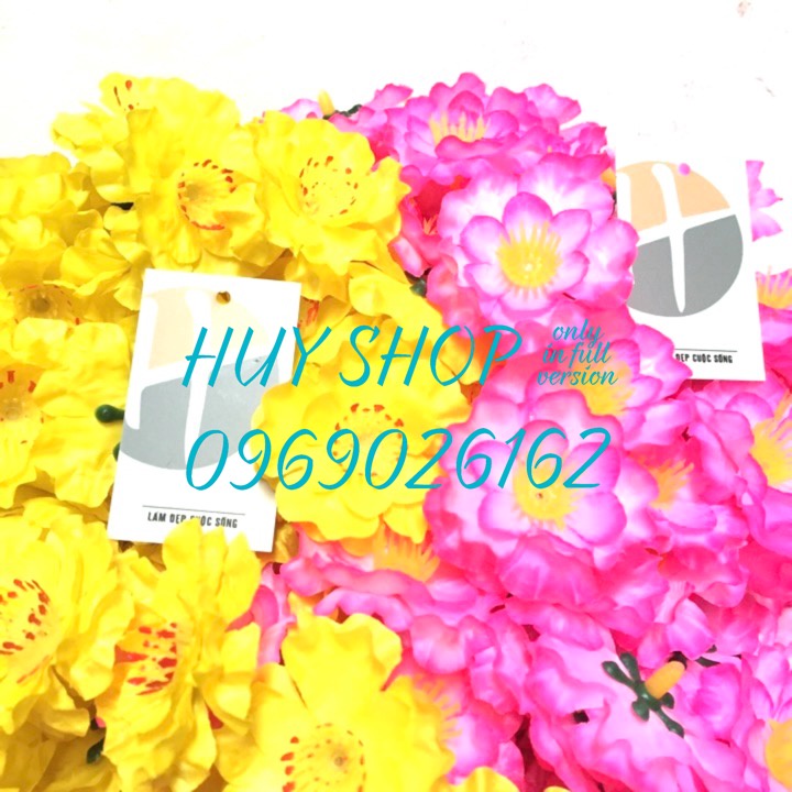 HOA TRANG TRÍ NGÀY TẾT - 500 GRAM BÔNG RỜI HOA MAI HOA ĐÀO