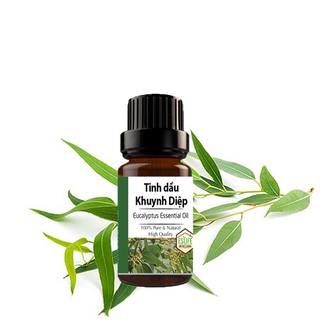 Tinh Dầu Khuynh Diệp chai nhỏ 10ml – tinh dầu Bạch Đàn Eucalyptus Essential Oil | đuổi muỗi côn trùng