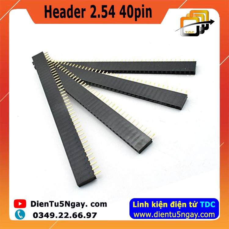Hàng chân cắm 40 pin (Header 2.54 40pin) – Dientu5ngay.com