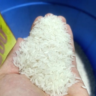 Gạo Tám bắc ( Bịch 10kg ) - Dẻo mềm