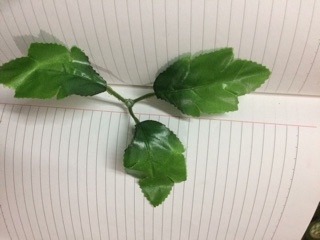 1 Lạng Lá nhựa
