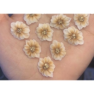 Hoa nail chân, hoa bột gắn móng chân, hoa móng chân, hoa cúc móng chân