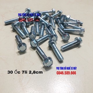 Ốc Cổ Bô Bị Chờn Taro Lên Ốc 7Li