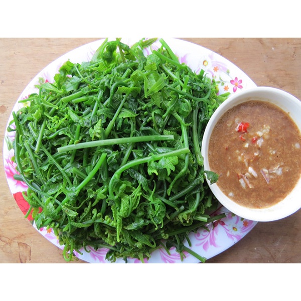 Giống cây rau dớn - Combo mua 10 tặng 3