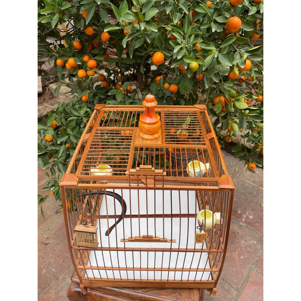 Khung lồng chim chào mào thái đấu, vuống đấu HM trúc già cật vàng đã qua xử lý màu KL02