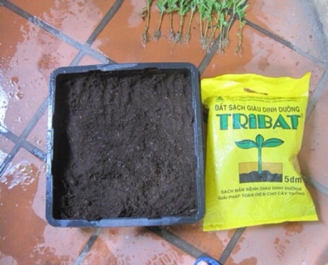 Đất sạch Tribat 5 dm3 🌿 trồng rau sạch, cây cảnh 🍅