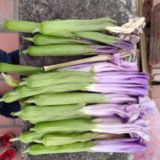 Hoa Cà Độc Dược 100g