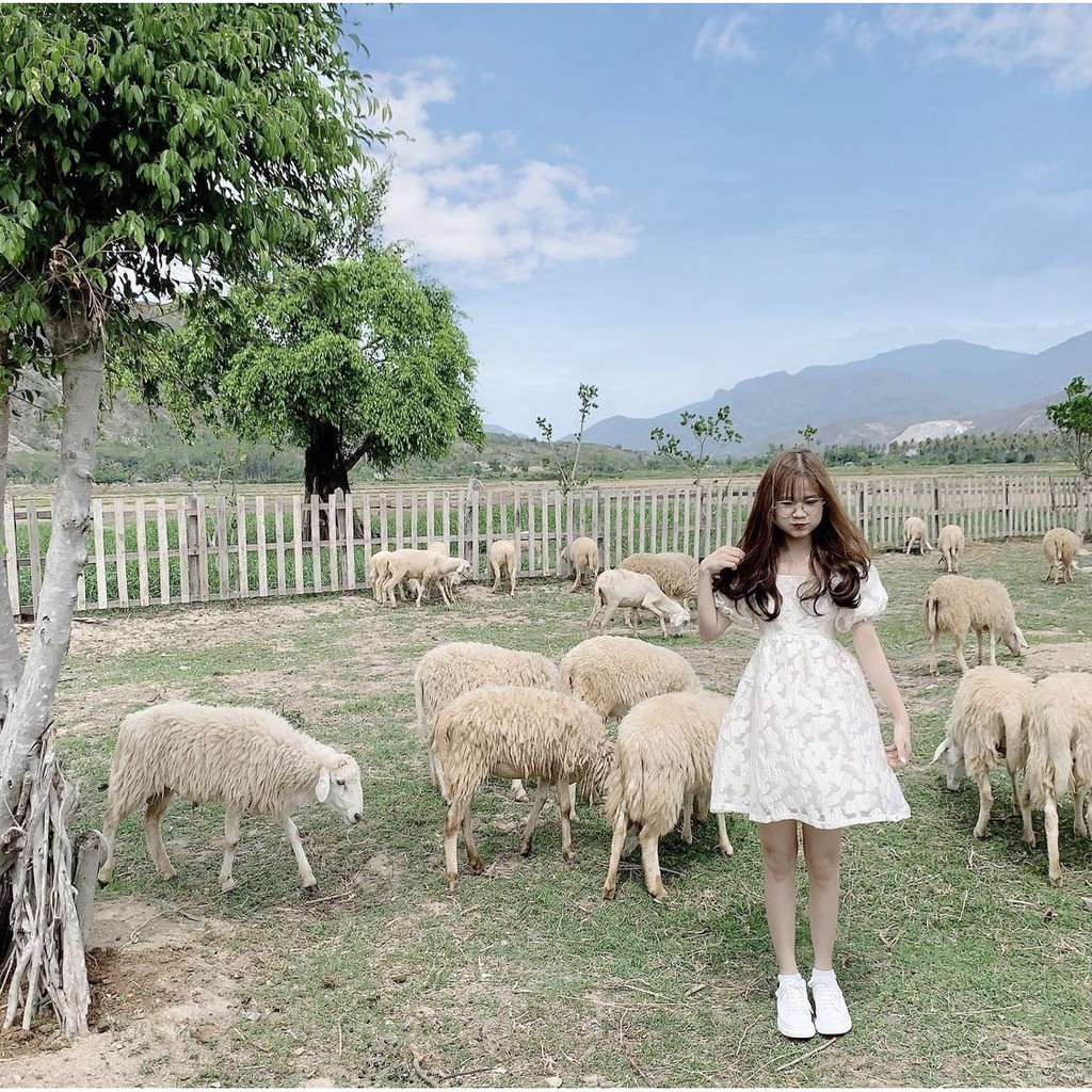 Váy Babydoll siêu xinh dập nổi hàng cao cấp, váy dáng xòe tiểu thư dự tiệc, đi chơi, Váy xòe siêu hot hit họa tiết chìm | BigBuy360 - bigbuy360.vn