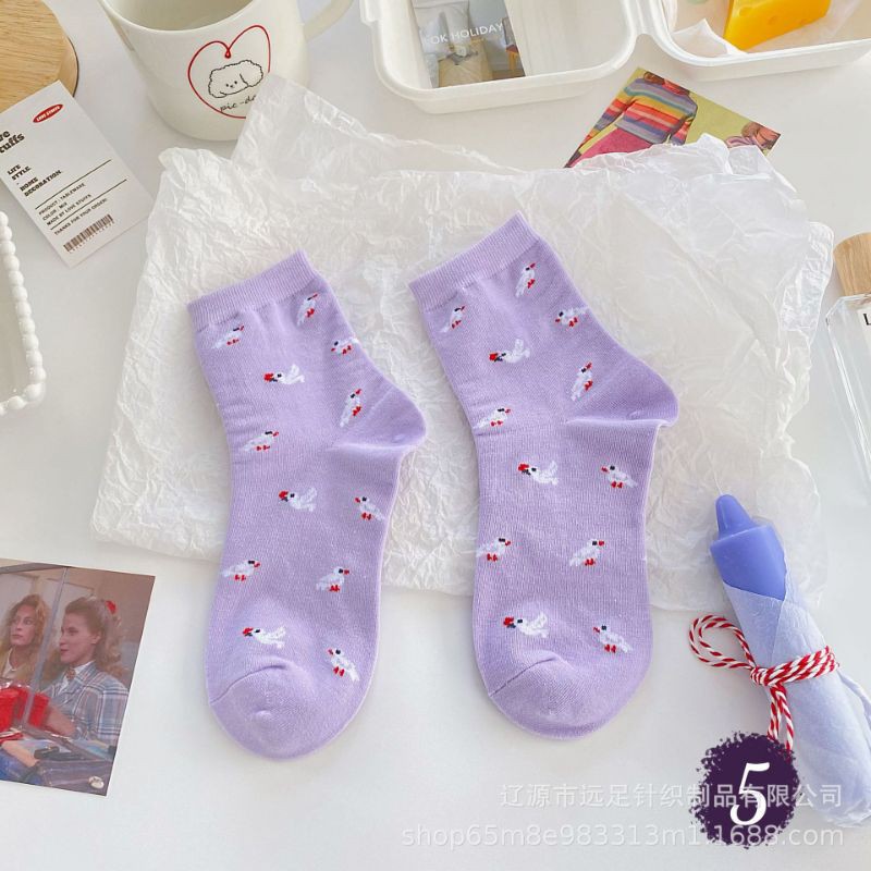 Sẵn - Set 6 đôi vớ cotton co giãn đủ màu