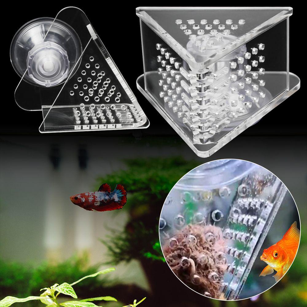 Phễu Cho Cá Ăn Tự Động Có Cốc Hút Tiện Dụng