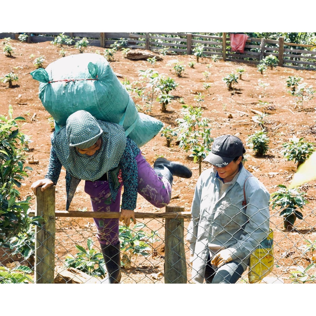 Cà phê nguyên chất | ROBUSTA truyền thống rang mộc 100% pha phin vị đắng đậm thơm nồng truyền thống | Faos Coffee