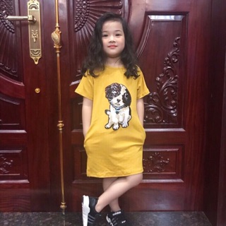 Váy chó thêu kim sa