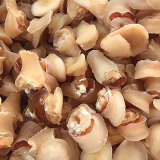 500gr Bào Ngư Việt Nam - Bào Ngư Khô - Súp Bào Ngư - Bào Ngư Đóng Hộp