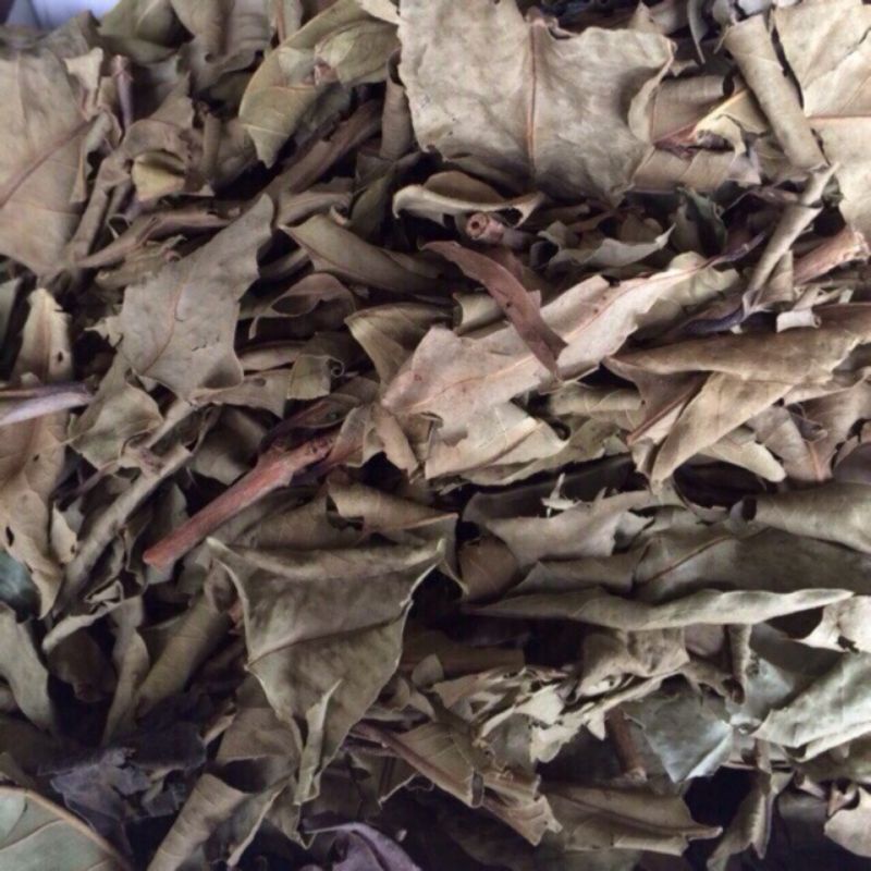 Lá vối khô 500gr