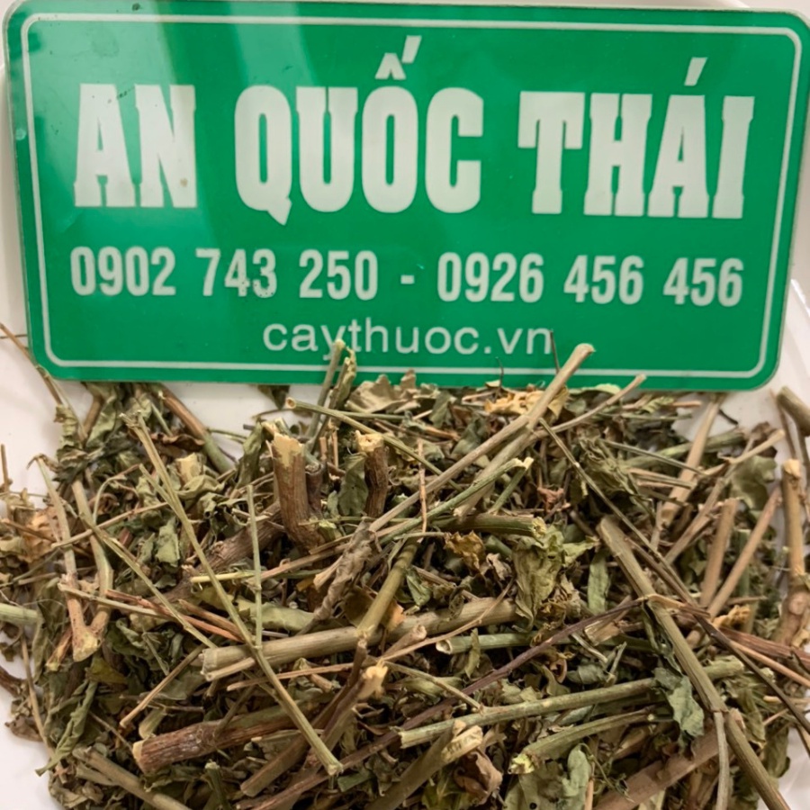 1KG Cây Bồ Ngót Phơi Khô (Sạch), Hàng Loại 1, Đảm Bảo Chất Lượng