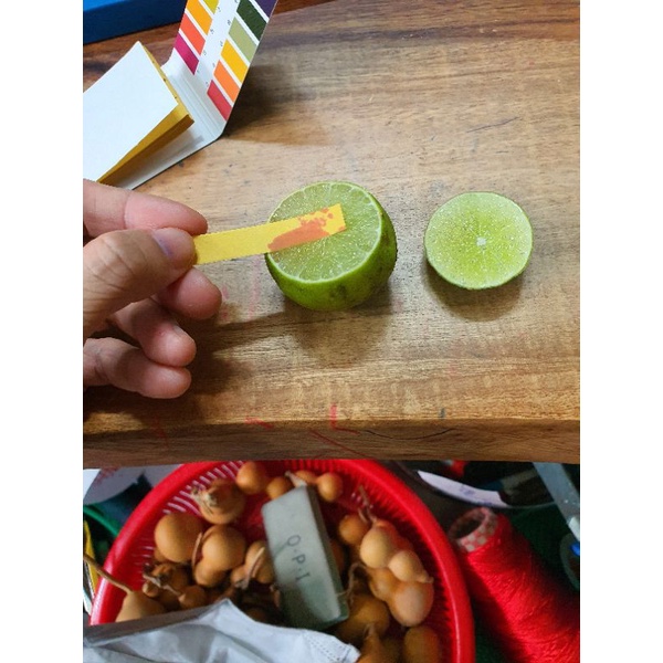 Giấy quỳ tím  đo độ PH 1-14