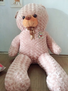 Xả gấu teddy giá rẻ