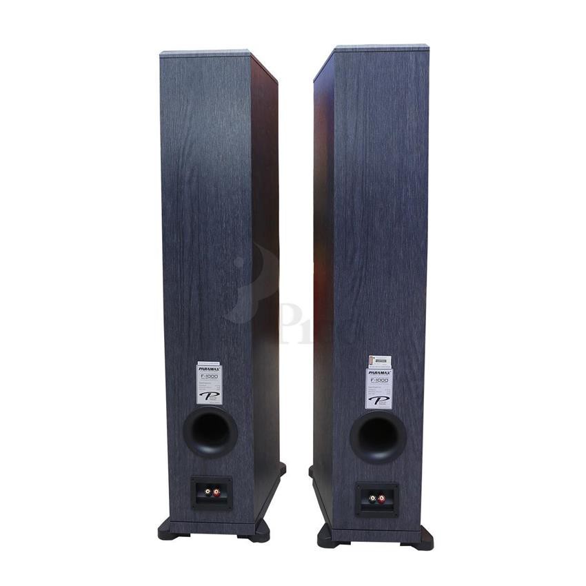 Loa Karaoke + Nghe nhạc Paramax F-1000