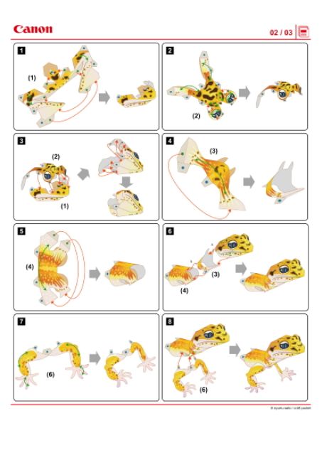 Mô hình giấy Động Vật thằn lằn báo đốm