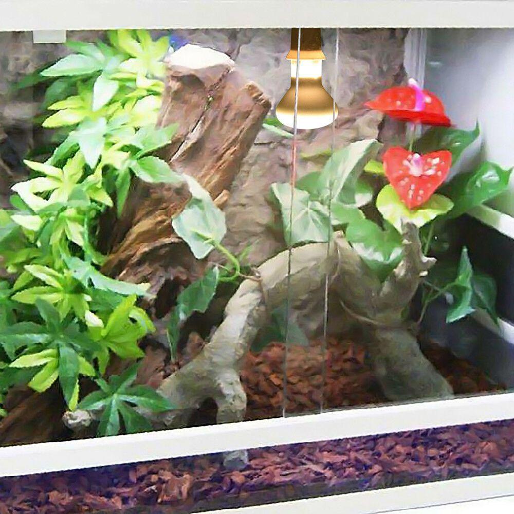 Epoch Bóng Đèn Halogen Điều Khiển Nhiệt Độ Sưởi Ấm Rùa