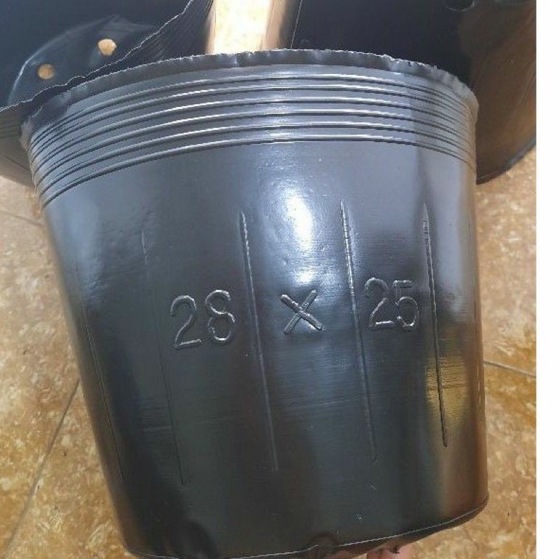 1 kg chậu ươm (bầu) cây 28x 25) hàng dày đẹp