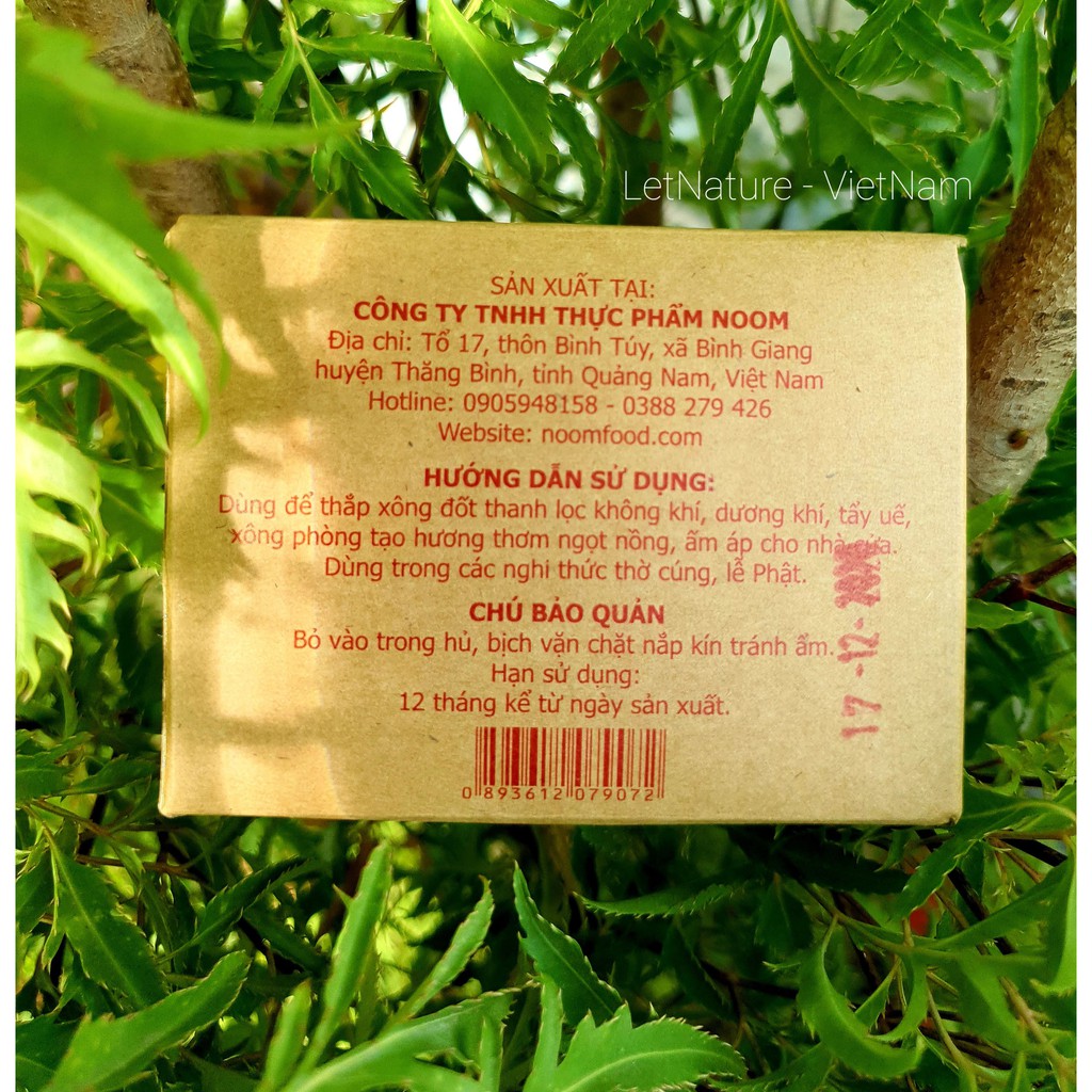 Nụ Quế Thông  - Noom