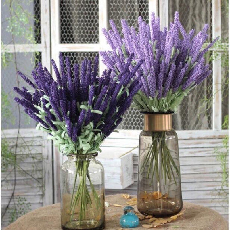 Cành hoa Lavender -oải hương siêu đẹp