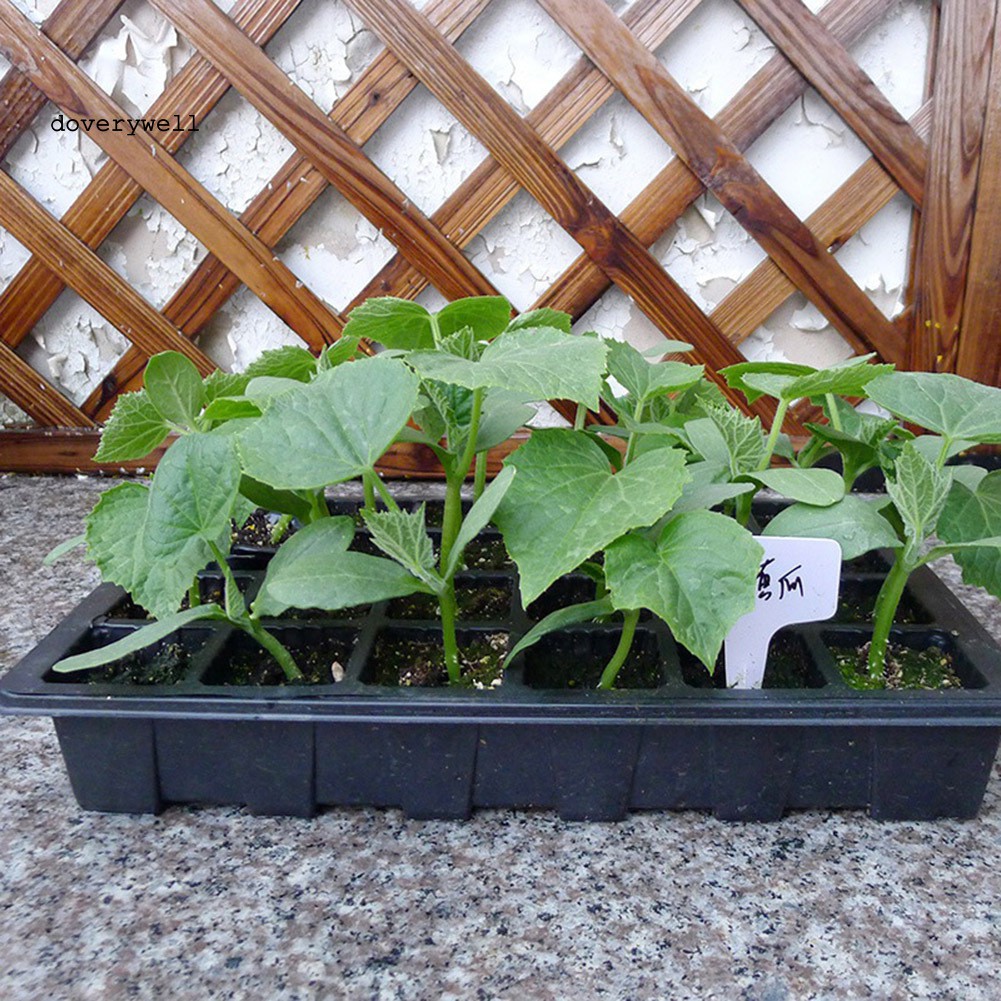 Khay gieo hạt giống 24 lỗ nhỏ gọn tiện lợi