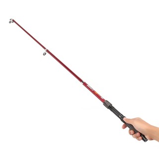 AIOⒶ Cần câu dạng rút (Telescopic)