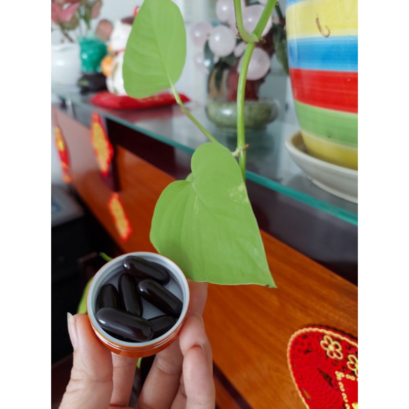 Đông Trùng Hạ Thảo codyceps 960 | BigBuy360 - bigbuy360.vn