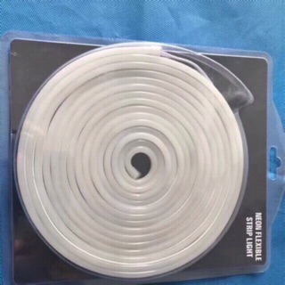 Led Neon quận 5m 12v