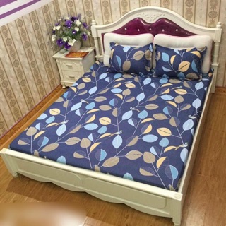 SET GA CHUN VÀ 2 VỎ GỐI