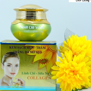 COMBO SẠCH MỤN 20G LINH CHI VÀNG
