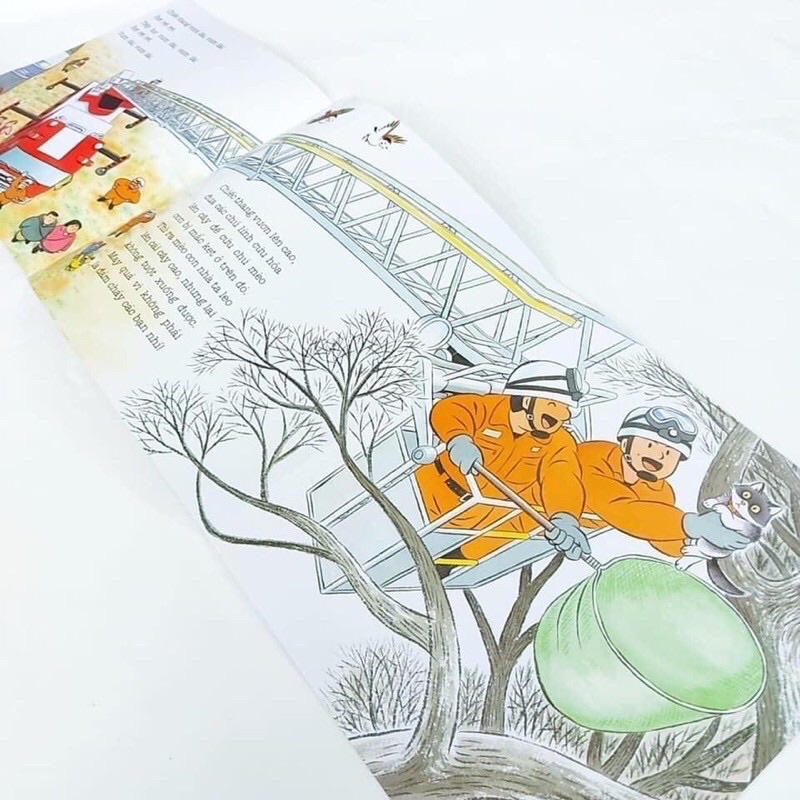 Sách - Ehon Nhật Bản: Cùng Nhau Đi Dã Ngoại trọn bộ 4 cuốn