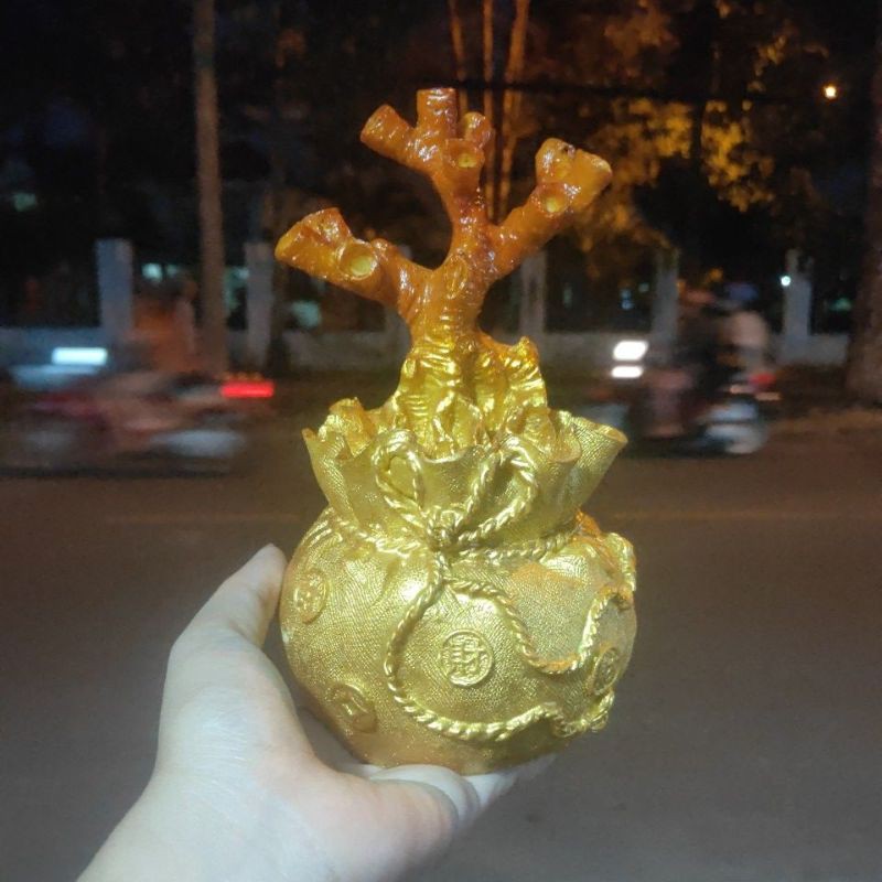 Gốc kim tiền - tài lộc - DA 02 (10 nhánh) | BigBuy360 - bigbuy360.vn