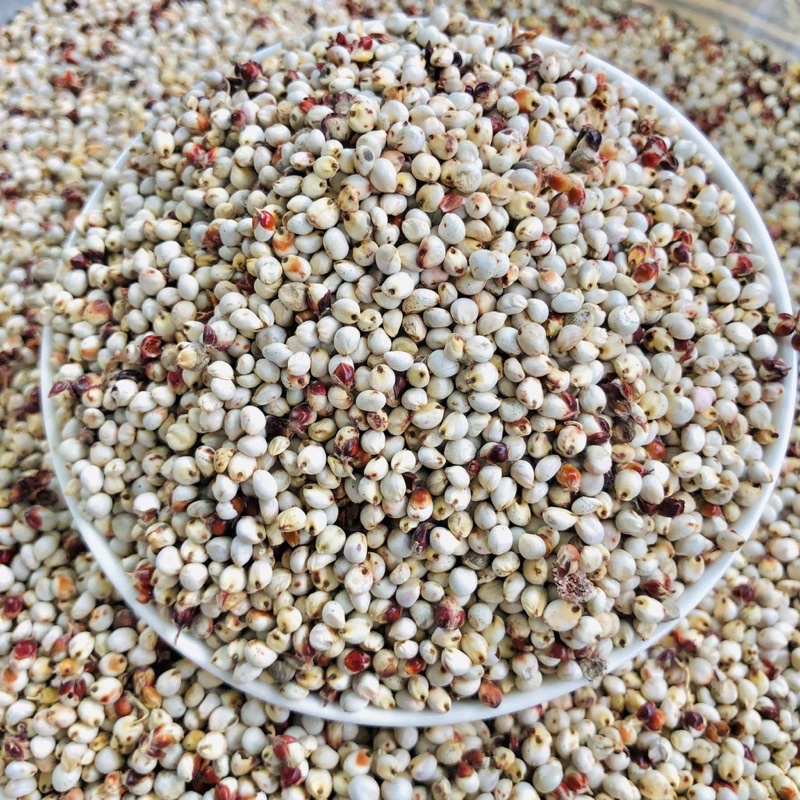 Hạt bobo trắng.Thức ăn cho thú cưng