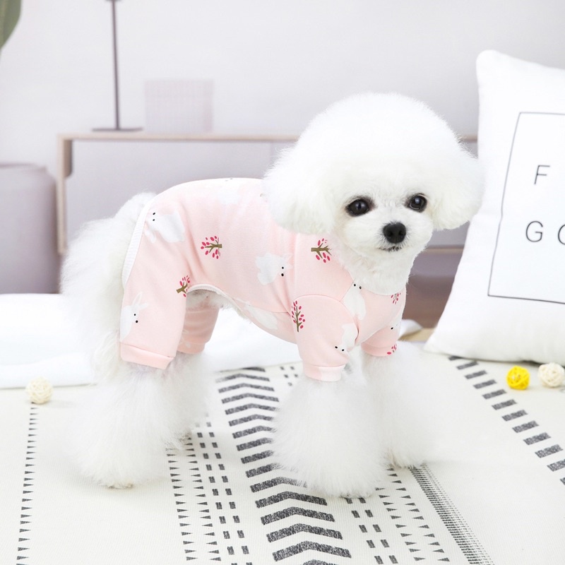 Bộ body 4 chân xinh lung linh cho cún miu 🥺