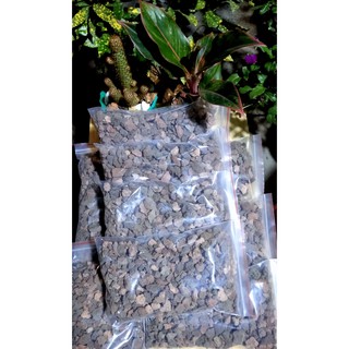 Đá núi lửa 1kg