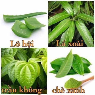 Dung dịch vệ sinh thảo dược 
